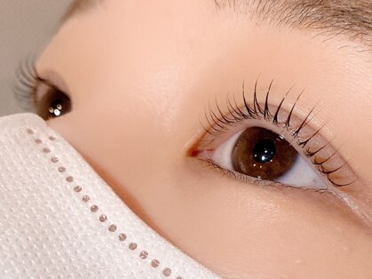 リトマス(LITMUS)の写真