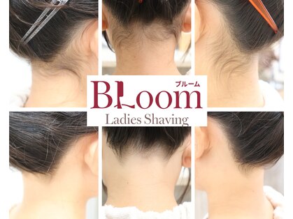 ブルーム(Bloom)の写真