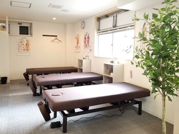 骨盤先生のカラダメンテ 八王子店/日当たりもよく、明るい店内
