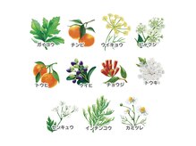 ヨサパーク ポノ 白石店(YOSA PARK Pono)の雰囲気（脂肪燃焼！医薬部外品の認可取得の天然ハーブ使用！！）