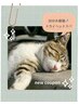 【脳と目元のお疲れに◎】“ちょっと”ｚお昼寝ｚドライヘッドスパ30分￥3,750