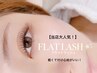 【人気本数!】フラットラッシュ100本