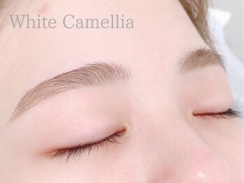 ホワイトカメリア(White Camellia)の写真/話題の【3D BROW LIFT】新導入★3Dブロウリフトで顔に立体感とメリハリを持たせて目元から垢抜けた印象へ♪