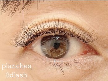 ウィスタリア フィールドプランシュ(WISTARIA FIELD-PLANCHES)/3dラッシュ