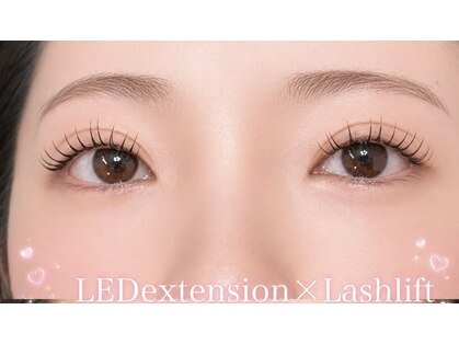 ライカ(Raika)の写真