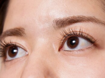 ウィステリア(Wisteria)/抗菌セーブル120本