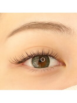 シエル(Ciel)/フラットマットラッシュ100本