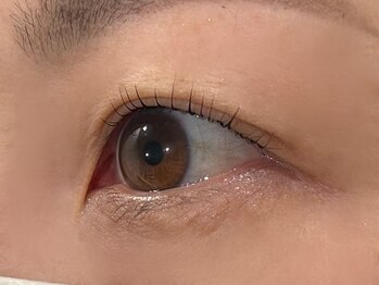 テラス ソア(Terrace soar)/パリジェンヌまつ毛パーマ