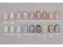 ネイルサロンprish銀座4丁目店【マグネット&フットネイル定額サロン】/マグネットネイルのカラバリ