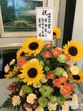 晴れる屋/向日葵