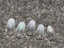 定額Bデザイン
