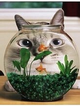 すごもリラク 山猫屋 ねこや