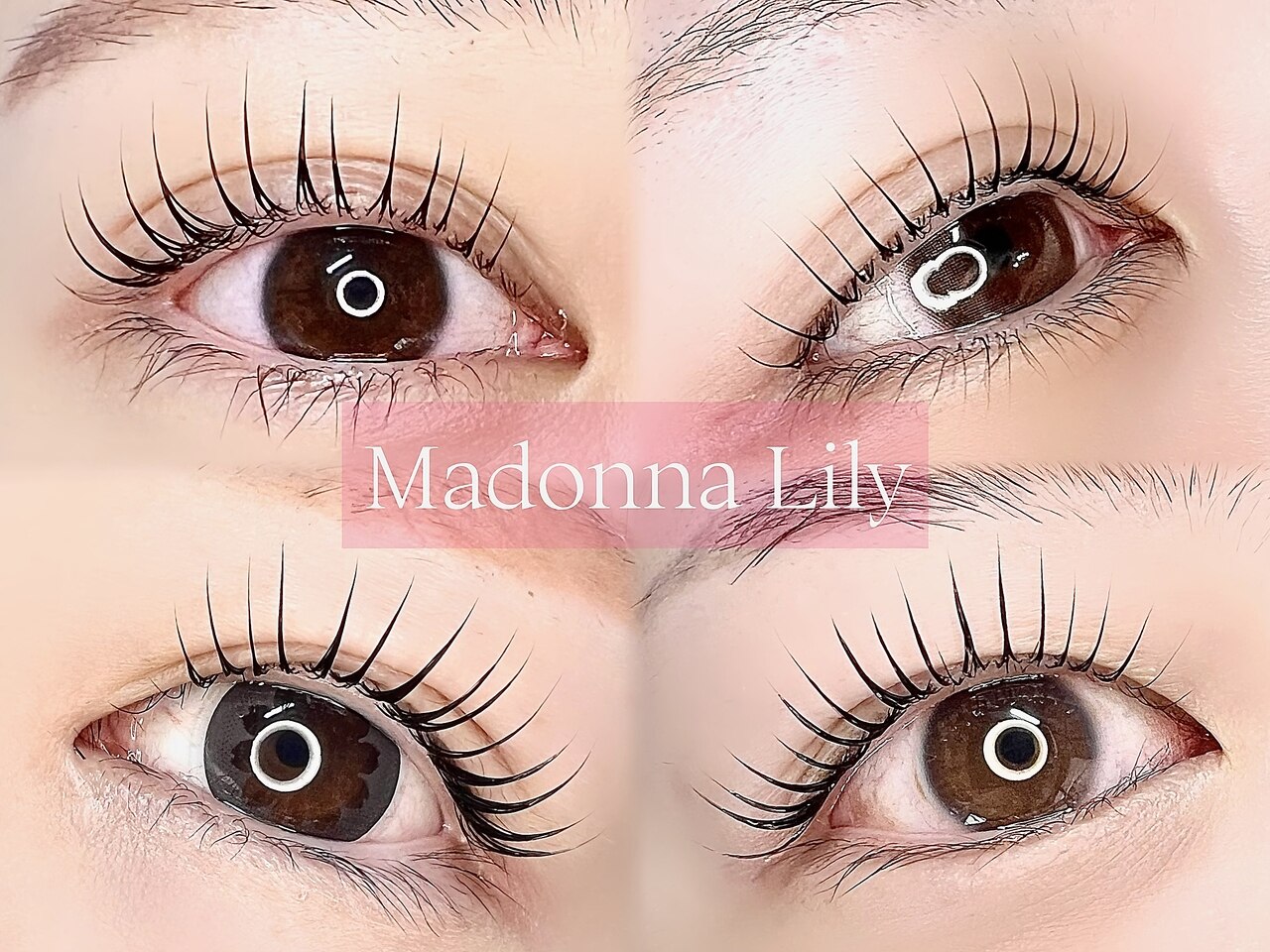 TOCCA MADONNA LILY 復刻　マドンナリリー トッカ マドンナリリー ワンピース 4 TOCCA MADONNA LILY 復刻