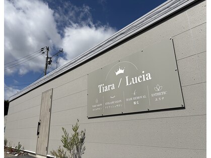 ティアラ ルシア(Tiara/Lucia)の写真