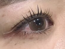 ピクシーボブ(Pixie Bob)/★マツパ 直角スタイル