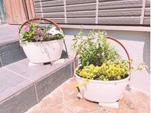 シャンティ(SHANTI)/ラベンダーやローズマリー