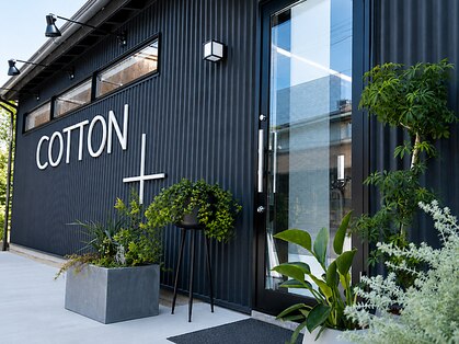 コットンプラス(COTTON+)の写真