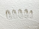 定額1