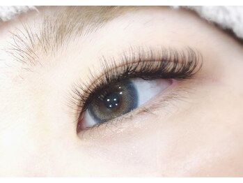 ヒッポ(Hippo)/ボリュームラッシュ