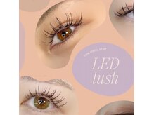 エクレール(eclair)の雰囲気（LEDまつエク　自社独自の商材を使用しております。）