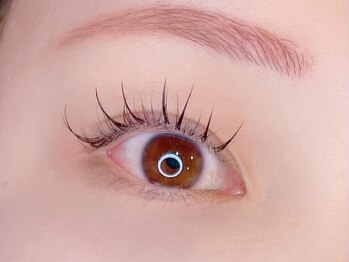 アイラッシュ リップル(Eyelash ripplu)/パリエク(40本)