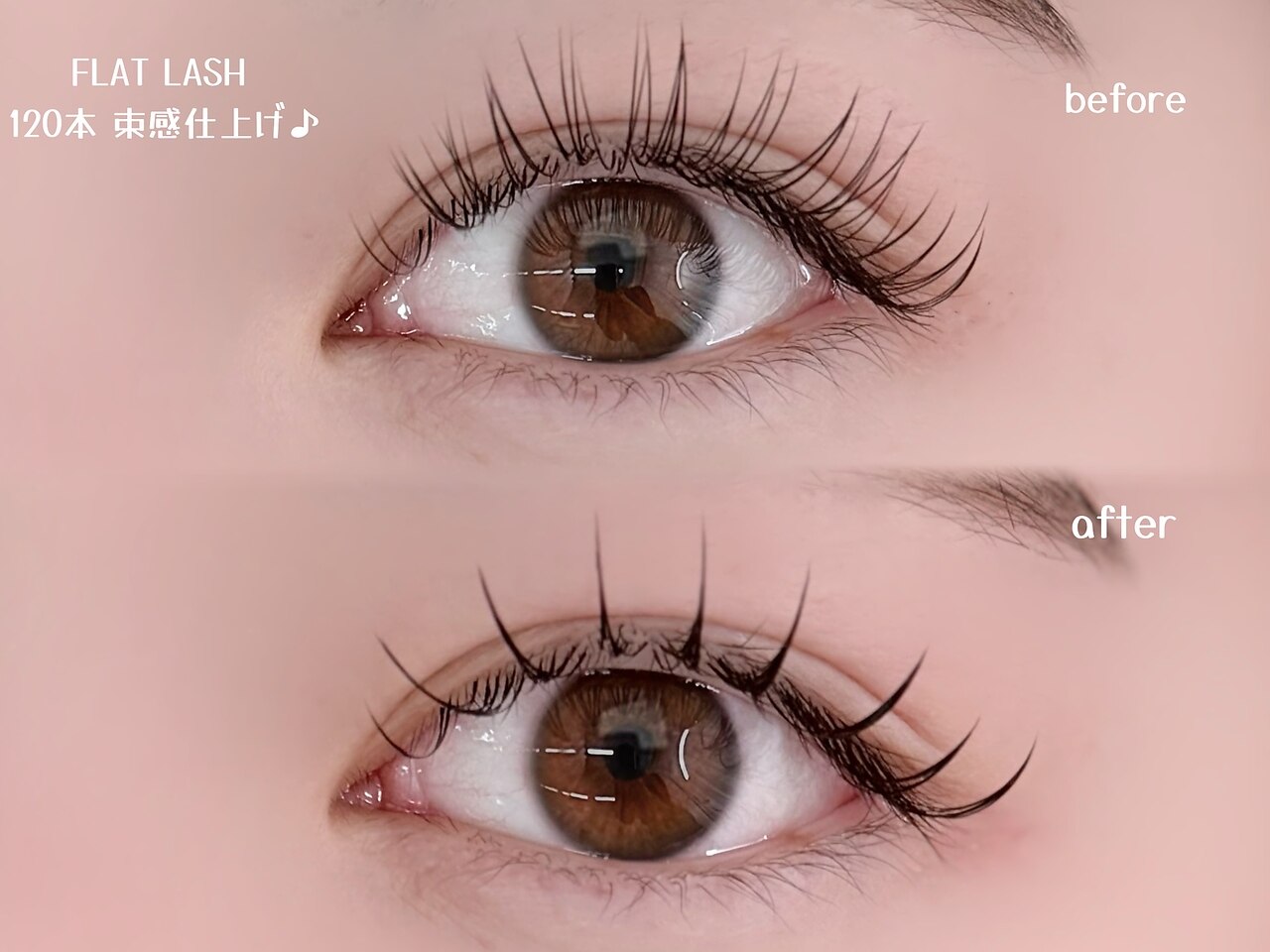 シーズ ラッシュ 新宿店(She's lash)｜ホットペッパービューティー