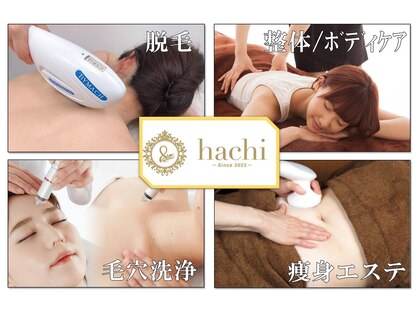 ハチ シンス 2023-(hachi-since 2023-)の写真