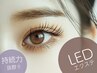【再来】【LEDフラット】リペア80本　1ヶ月以内　6,700円
