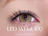 《圧倒的軽さ×モチ抜群☆》LED★ダブルフラットラッシュ100束￥8300