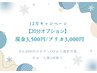 ★12月限定★20分ボディオプション4000円→現/3500円　プ/3000円
