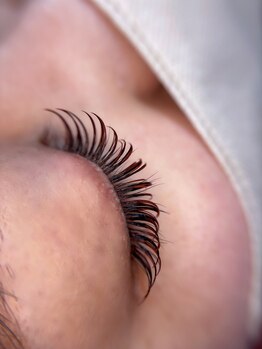 プリモアイラッシュ(Primo Eyelash)/フルカラー