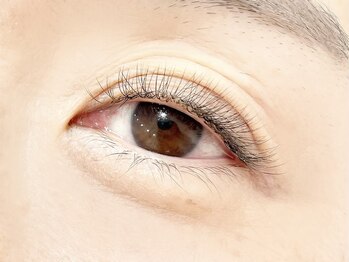 ノエリー(noelie)/ボリュームラッシュ250本