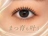 【プレミアムまつ毛ケア付き】まつげパーマ上+ブラックコーティング付 ¥6900
