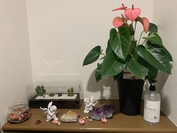 ロミロミモアナ(lomilomi moana)/