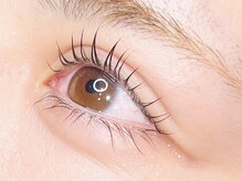 コボアイラッシュ(COVO.eyelash)/ラッシュリフト