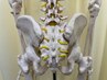 首・肩・腰・膝の痛み　　手技：接骨院　施術