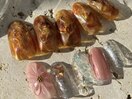 定額サンプルたくさんございます