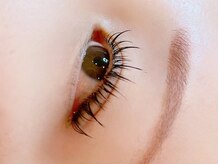 アイラッシュ リップル(Eyelash ripplu)/パリエク(LED120本)