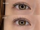 Selene Lash【セレンラッシュ】の写真/一人ひとりのお悩みに寄り添い、理想の目元へ♪