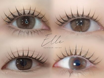エル(Elle)の写真