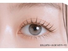 ミモザ(MIMOSA)/ まつげパーマ