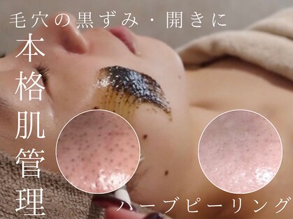 ルーツリー(Rootree)の写真