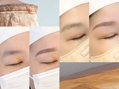 フェルナ(FERNA)の写真