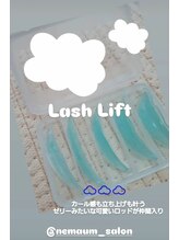 ネマウム(nemaum)/新しいロッドも入りました！