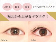 アイラッシュサロン ウインクル(Eyelash Salon Winkle)