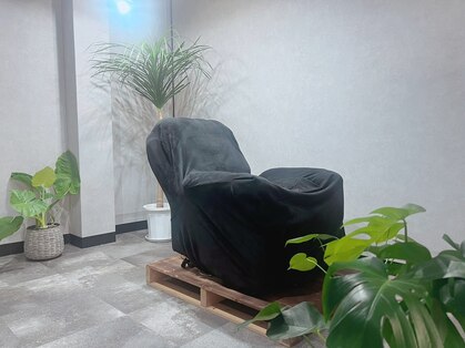 ニコ(nico)の写真