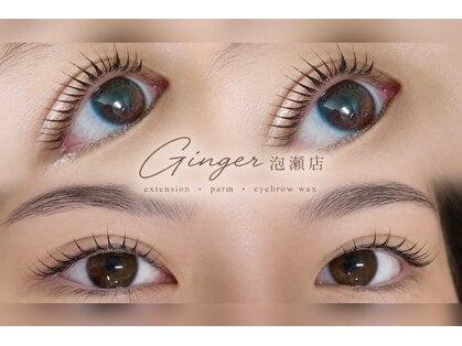 ジンジャー(Ginger)の写真