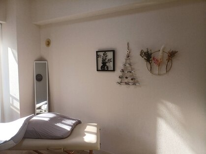 リノポノ(LINOPONO)の写真