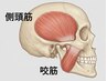 【食いしばりからのエラ咬筋・側頭筋・頭蓋骨張りの緊張緩和】￥9400⇒￥4500