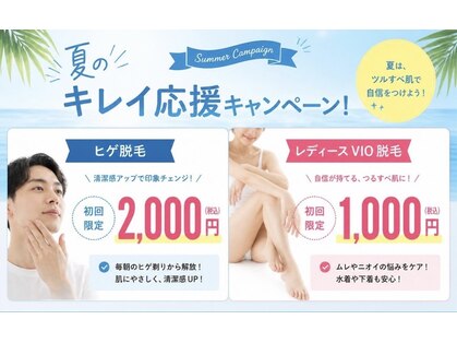 ルピナス(Lupinus)の写真